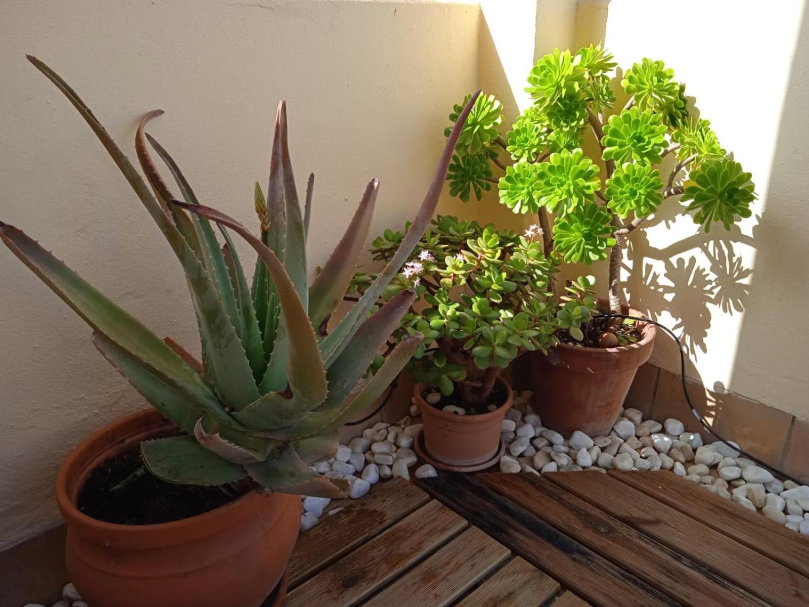 Apartment Livingtarifa Nano *
